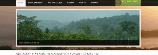 Pembangunan website BAKORLUH MALUKU