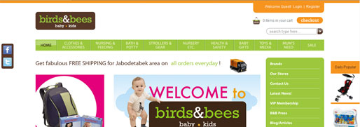 Pembangunan website Toko Online BirdsnBees Baby